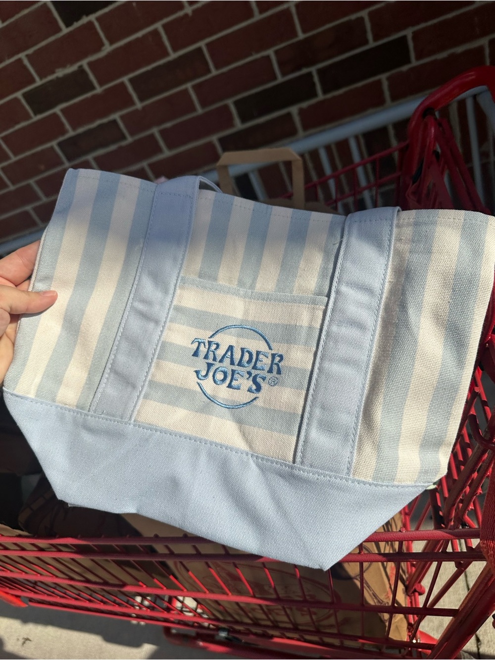 Trader Joe's Light Blue and White Striped Mini Tote Bag